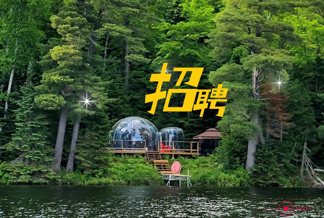 B32AE766-3136-45F6-BA07-AD98CFF5A294