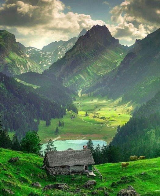 11dcfccf44a2b151f66970cb4cd369f2