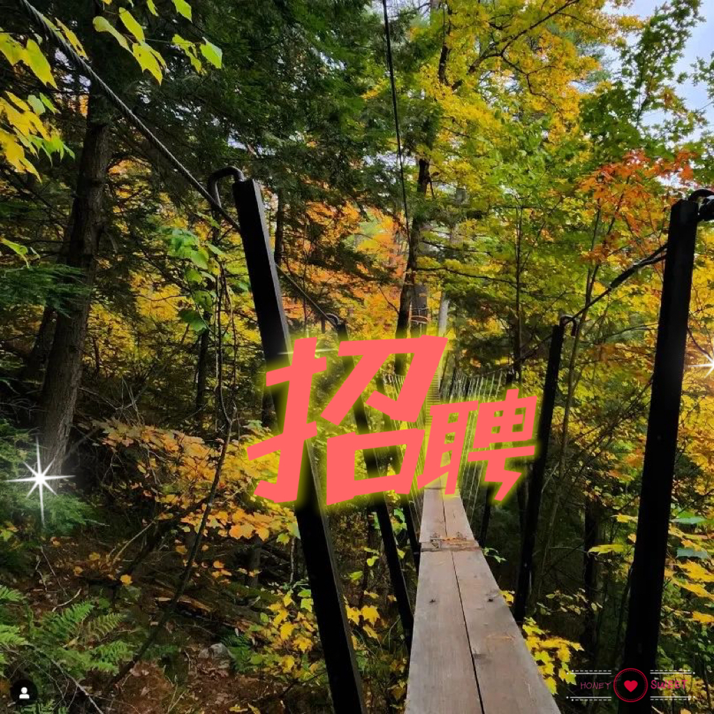 7A7034D7-A449-46CC-8B07-0AC49452C254