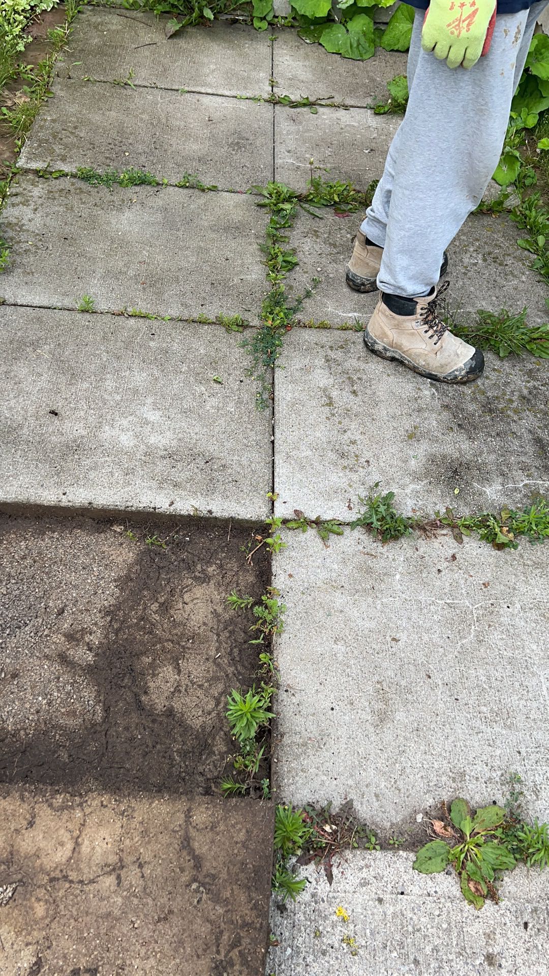 2c0aa66fe84b43776241307aa16feb89