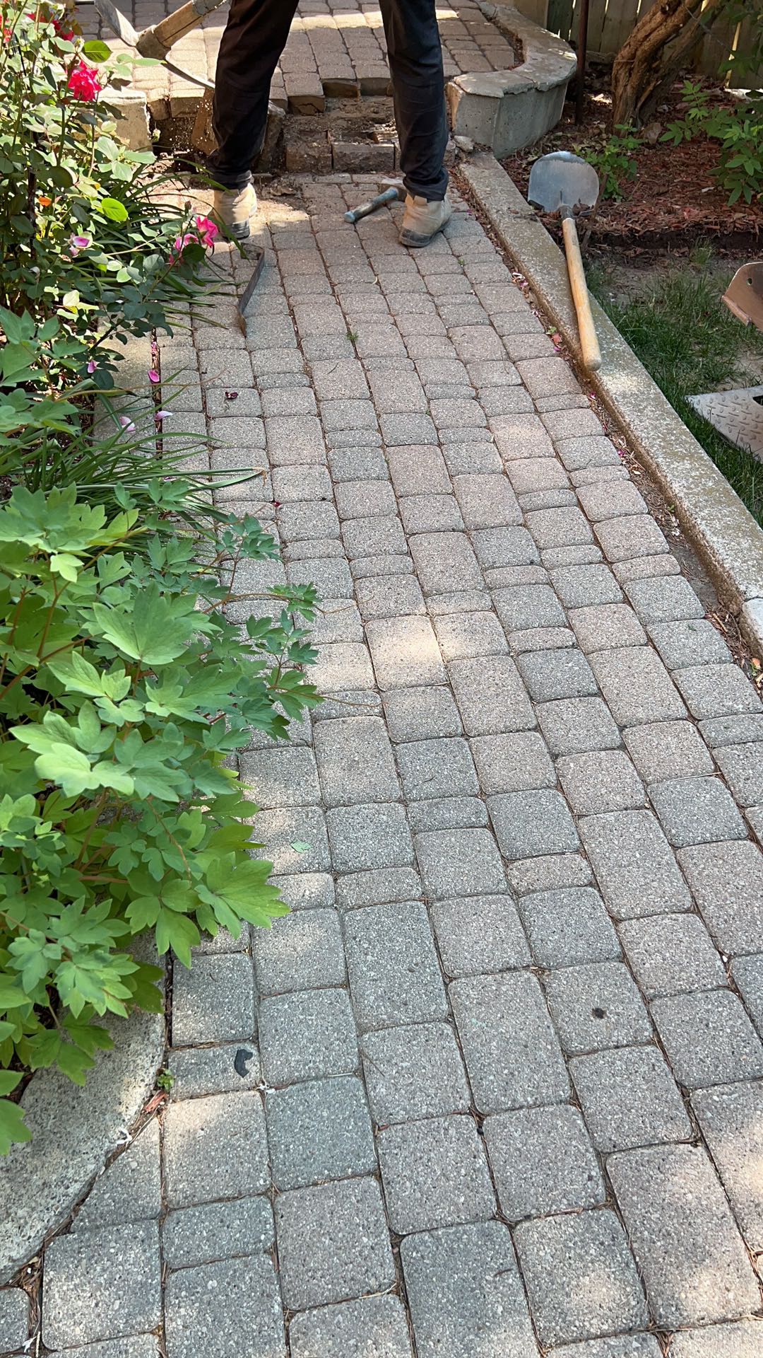 b4a6b5a9ee09ba1dc9c67a72f401b807