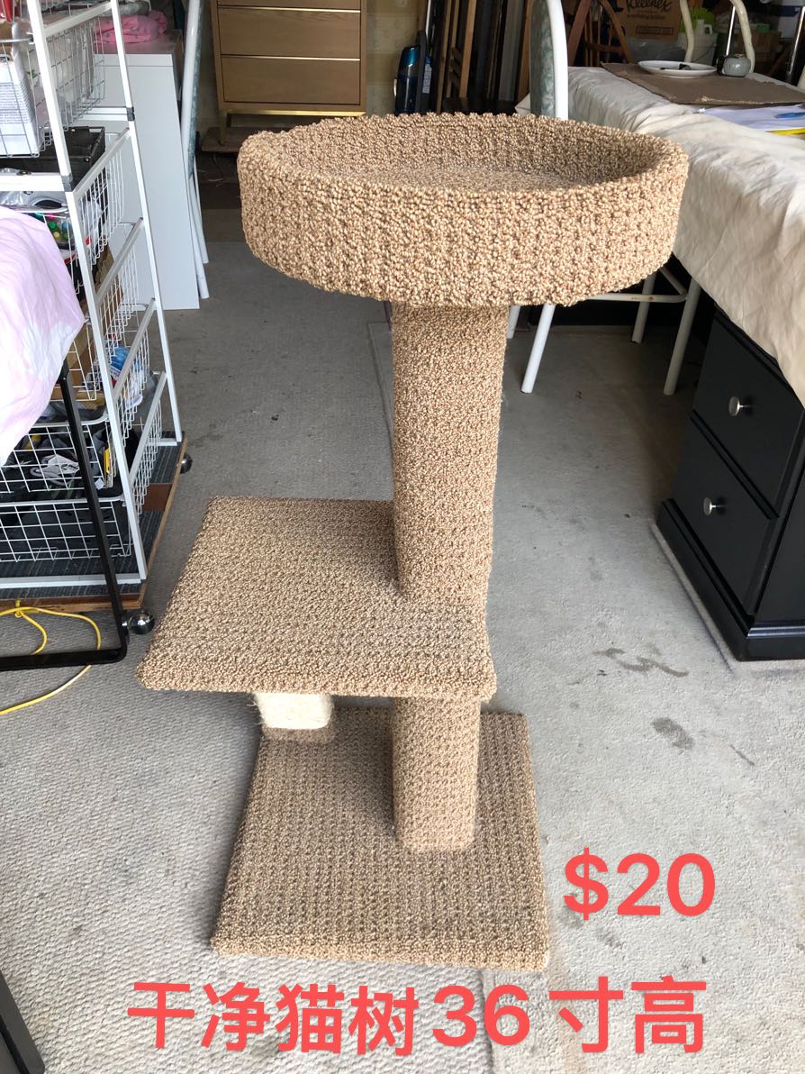 78e1a86f6a5ad16b98c02fe0d582c19b