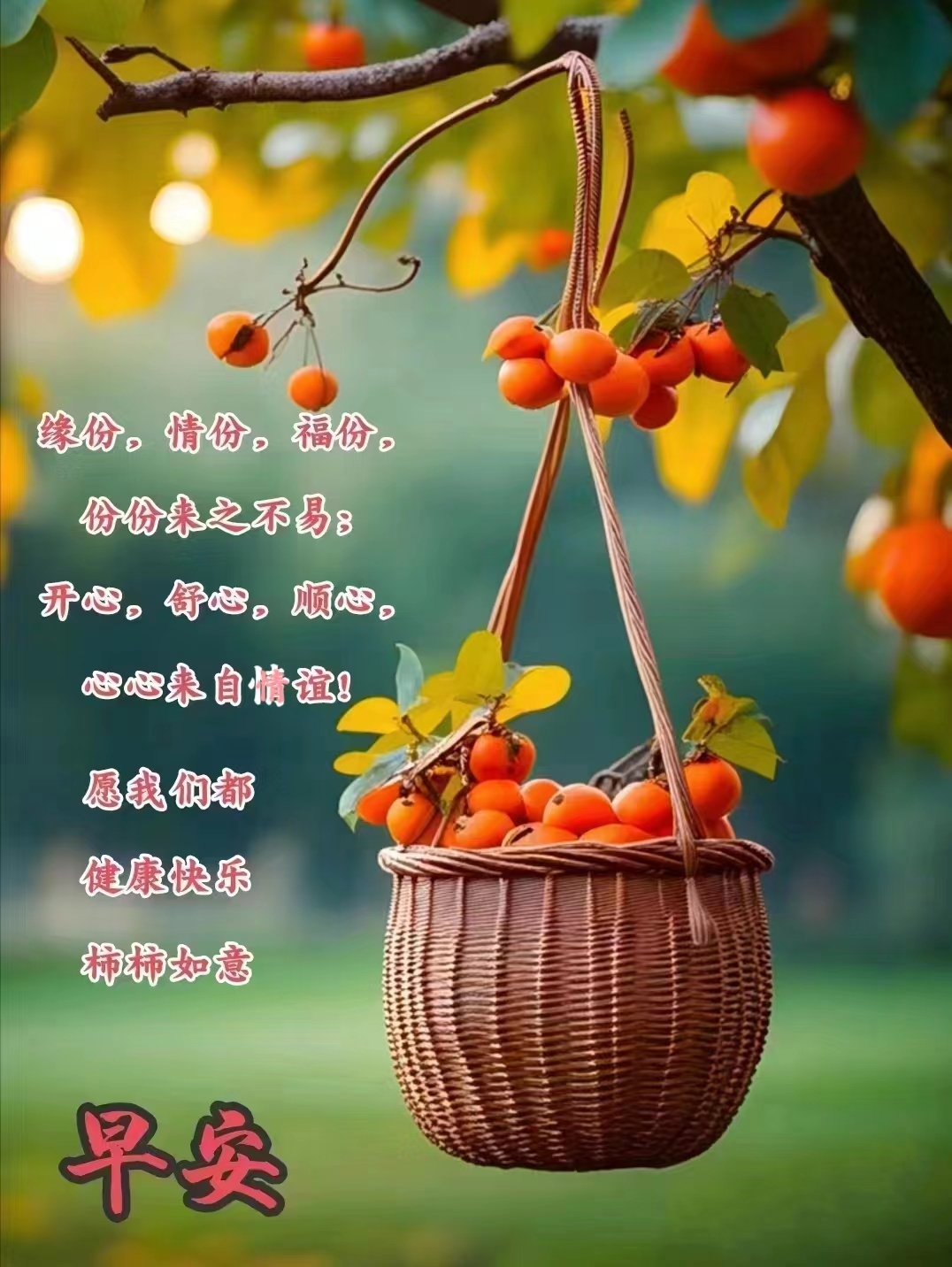 2db32701fea168e733dedf4582f2ed38