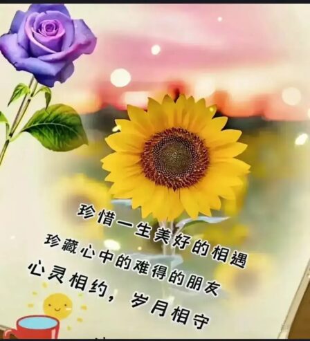 a7b2c6ac9a1691db1c9dbf70353a5bb4