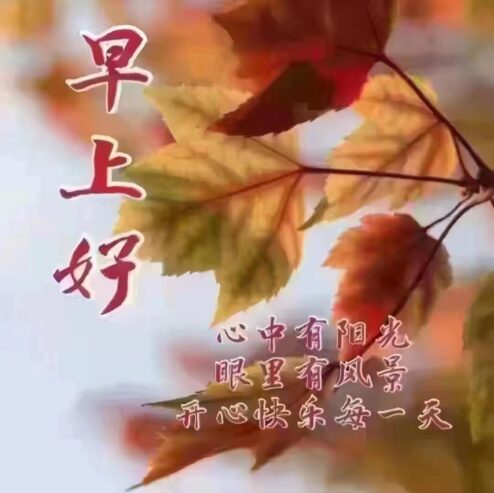 678fb177c31c9be027b71b0efde140cb